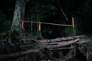 BIB: 
                            <button type="button" onclick="openModal(27327054)" class="btn btn-primary btn-sm float-right btn-popup" data-toggle="modal" data-target=".modal-high-quality">
                        <i class="fas fa-shopping-cart"></i> Add to Cart
                    </button>
                                            <button type="button" onclick="isThisMe(27327054, true)" class="btn btn-success btn-sm float-right btn-popup btn-isme hidden" data-toggle="tooltip" data-placement="bottom" title="นี่คือรูปของคุณใช่ไหม คลิกที่นี่เพื่อเอาเข้าอัลบั้ม">
                        <i class="fas fa-plus"></i> Add to album
                    </button>
                    <button type="button" onclick="isThisMe(27327054, false)" class="btn btn-warning btn-sm float-right btn-popup btn-isnotme hidden">
                        <i class="fas fa-ban"></i> Remove from album
                    </button>